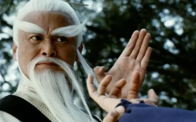 Come dovrebbe essere il Sifu? (3 min)